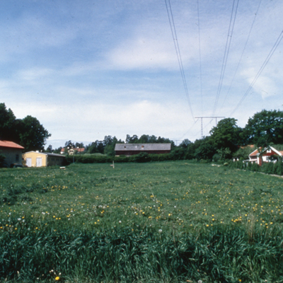 Solb 2014 05 31 - Koloniträdgård