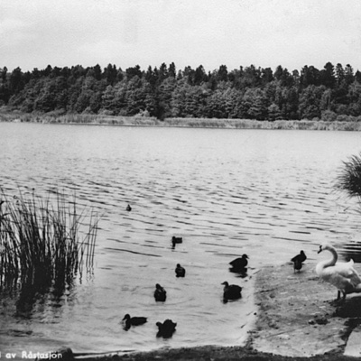 Solb 2001 11 172 - Råstasjön