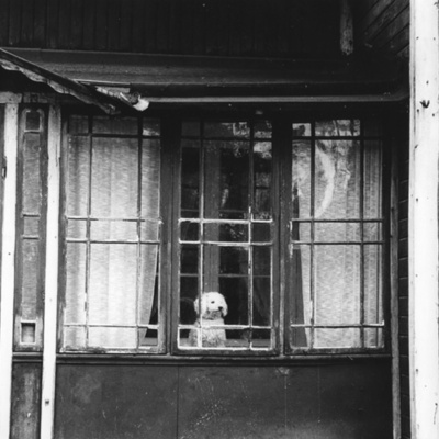 Solb 1986 1 56 - Fönster på Gustafsvägen