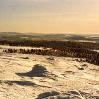 Sobb ÅJ067 - Vinter