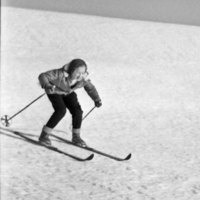 Sobb BK157 - Skidor