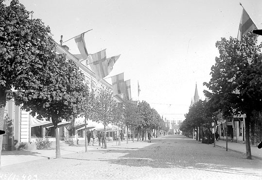Södra Storgatan under Svenska Veckan 1911.