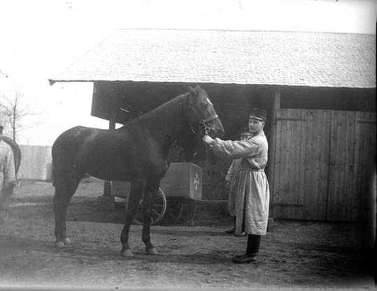 Esse Bildsten som kavallerist, 1904.