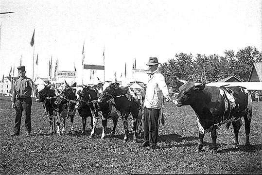 Lantbruksutställning. Eksjöutställningen 1912.