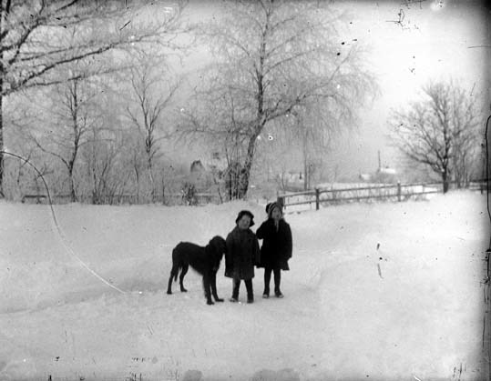 Två barn med en hund i ett vinterlandskap.